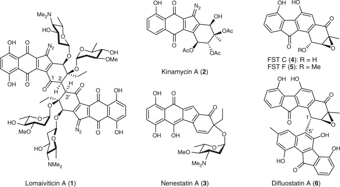 Molecular Basis Of Dimer Formation During The Biosynthesis Of Benzofluorene Containing Atypical Angucyclines Nature Communications