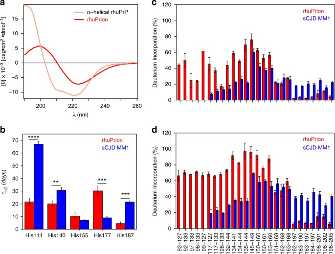 Artificial Strain Of Human Prions Created In Vitro Nature Structural Comparison Of Rhuprion And Brain Derived Scjd Mm1 Prpsc Used As An Initial Seed A Far Uv Circular Dichroism Cd Spectrum Recombinant Human