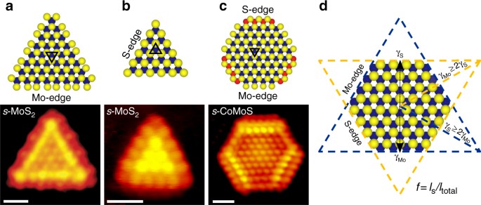 Visualizing Hydrogen Induced Reshaping And Edge Activation In Mos 2 And Co Promoted Mos 2 Catalyst Clusters Nature Communications