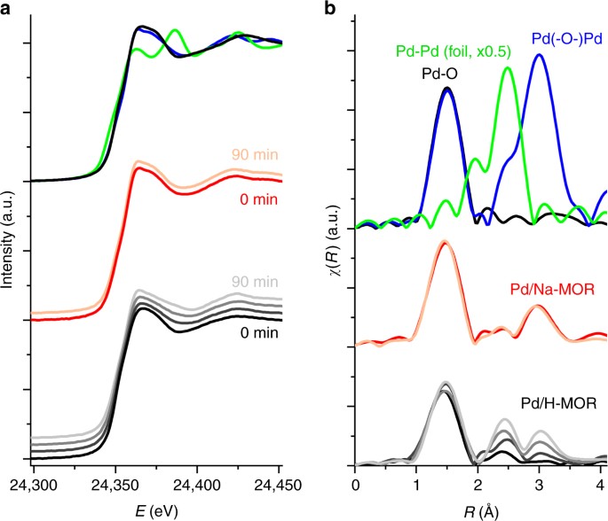 Engineering catalyst supports to stabilize PdOx two-dimensional rafts for  water-tolerant methane oxidation