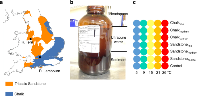 A localização dos rios de estudo e desenho experimental. um Mapa da Inglaterra e País de Gales, Reino Unido, mostrando a distribuição espacial dos aqüíferos de Arenito e Chalk do Triássico e os dois riachos de estudo (Rio Giz e Rio Lambourn) [Contém materiais do British Geological Survey Copyright NERC [2016] e gadm.org]. b Frasco de incubação usado para o experimento, incluindo uma representação da distribuição de sedimentos, água e headspace. c Configuração experimental com cada ponto representando um triplicado de repetições