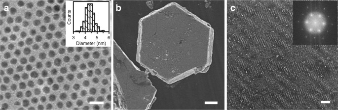 formation of self assembled gold nanoparticle what is facet
