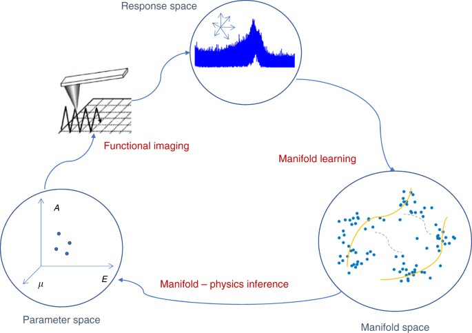 high veracity functional imaging in scanning probe microscopy via scanning probe microscopy