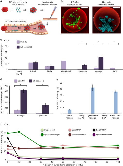 Red Blood Cell Hitchhiking Boosts Delivery Of Nanocarriers To Chosen Organs By Orders Of Magnitude Nature Communications Red Blood Cell Hitchhiking Boosts Delivery Of Nanocarriers To Chosen Organs By Orders Of Magnitude Nature Communications