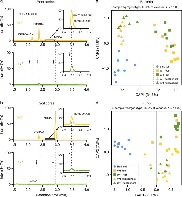 Root exudate metabolites drive plant-soil feedbacks on growth and defense by shaping the rhizosphere microbiota