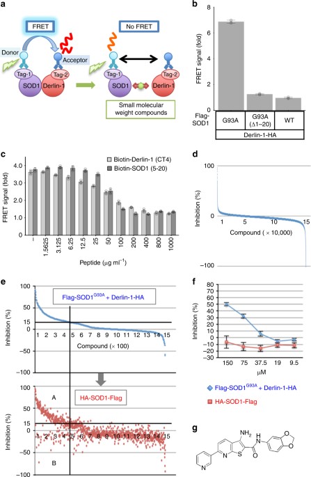 A Small Molecule Inhibitor Of Sod1 Derlin 1 Interaction Ameliorates Pathology In An Als Mouse Model Nature Communications A Small Molecule Inhibitor Of Sod1 Derlin 1 Interaction Ameliorates Pathology In An Als Mouse Model Nature Communications
