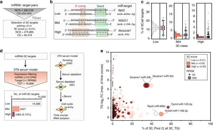 Endogenous Transcripts Control Mirna Levels And Activity In Mammalian Cells By Target Directed Mirna Degradation Nature Communications Endogenous Transcripts Control Mirna Levels And Activity In Mammalian Cells By Target Directed Mirna Degradation Nature Communications