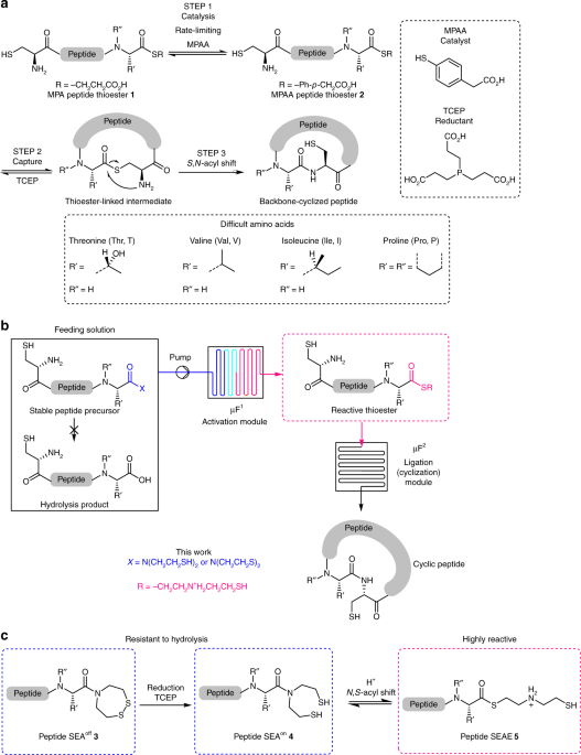 Accelerated microfluidic native chemical ligation at difficult amino acids toward cyclic peptides