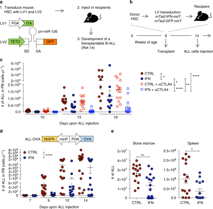 Interferon gene therapy reprograms the leukemia microenvironment inducing  protective immunity to multiple tumor antigens | Nature Communications