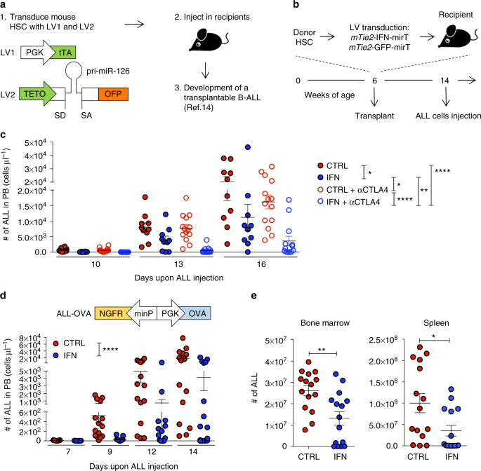 Interferon gene therapy reprograms the leukemia microenvironment inducing protective immunity to multiple tumor antigens | Nature Communications Interferon gene therapy reprograms the leukemia microenvironment inducing protective immunity to multiple tumor antigens | Nature Communications