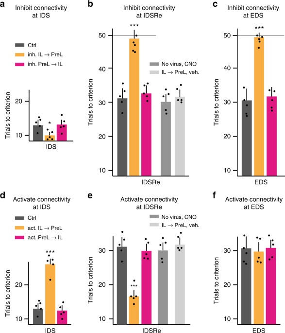 infralimbic cortex is required for learning alternatives to