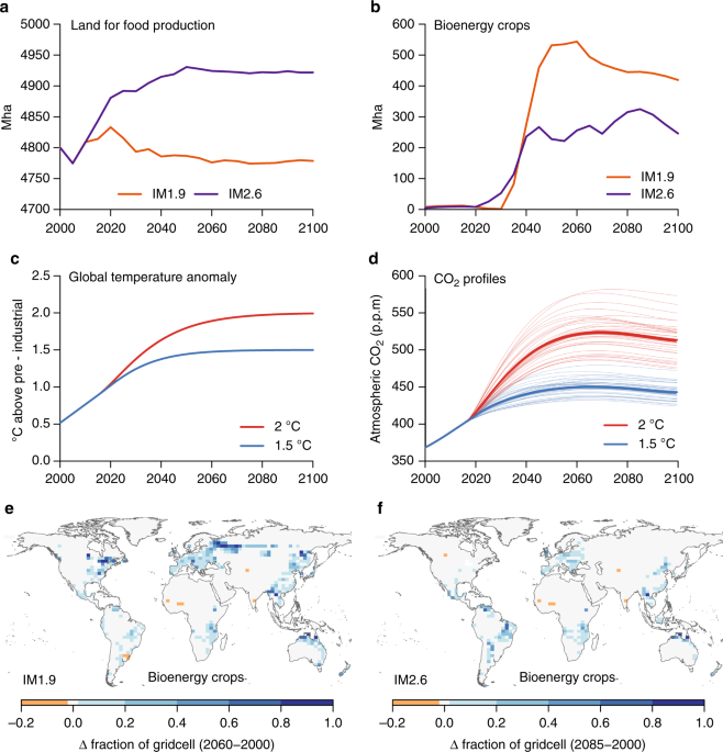  estudo conduzido pela Universidade de Exeter sugere que a conversão de grandes áreas de terra em plantações como biomassa para BECCS liberaria tanto CO2 que proteger e regenerar florestas é uma opção melhor em muitos lugares