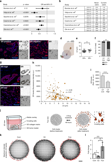 The Actin Cytoskeletal Architecture Of Estrogen Receptor Positive Er Expression Is Ociated With Low Dissemination Of T Cancer Cells A Meta Ysis Ln Forest Plot Showing Odds Ratio