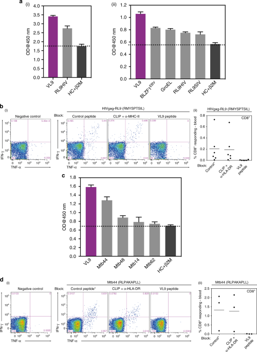 Pathogen Derived Hla E Bound Epitopes Reveal Broad Primary Anchor