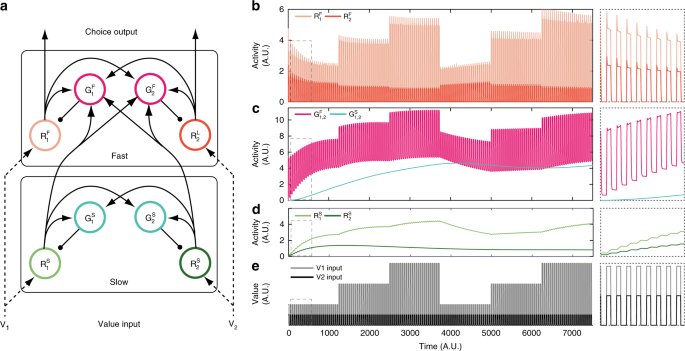 Multiple timescales of normalized value coding underlie adaptive choice  behavior | Nature Communications