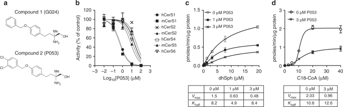 A selective inhibitor of ceramide synthase 1 reveals a novel role in fat  metabolism | Nature Communications