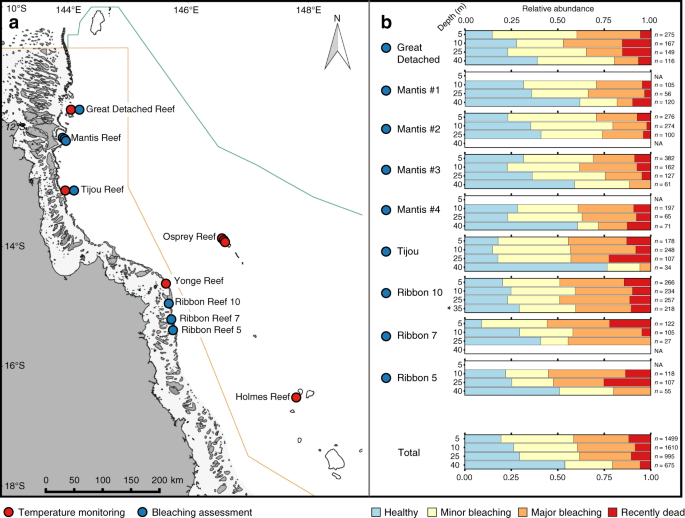 deep reefs of the