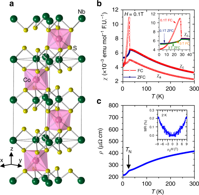 Large anomalous hall effect in the chiral-lattice antiferromagnet conb3s6