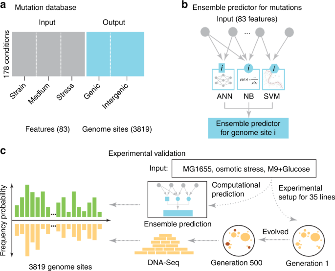 Generation 3 Evolution and Capture Predictions + Chart : r