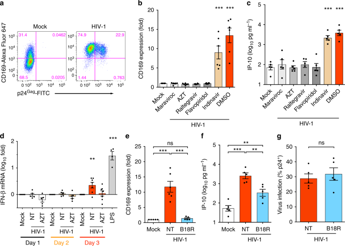 Defining total-body AIDS-virus burden with implications for