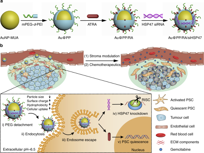 pancreatic cancer glutathione enhancement Reversal of pancreatic desmoplasia by re-educating stellate cells with a  tumour microenvironment-activated nanosystem