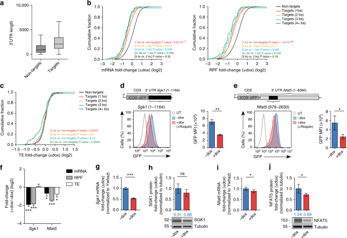 https://media.springernature.com/m685/springer-static/image/art%3A10.1038%2Fs41467-018-06184-3/MediaObjects/41467_2018_6184_Fig8_HTML.png