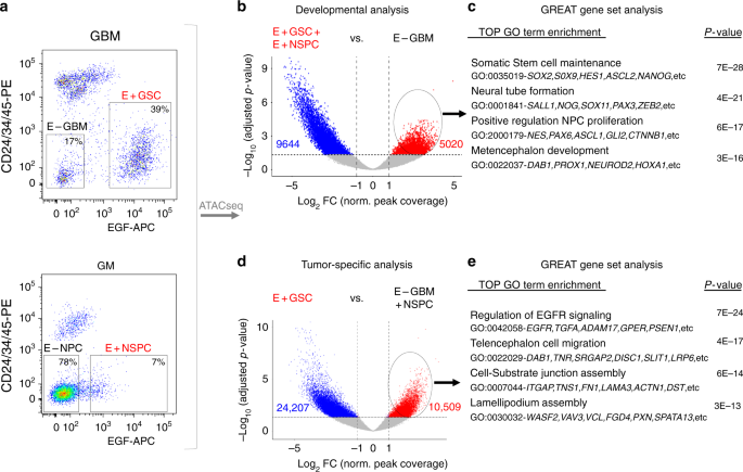 Drivers chromatin vs Drivers chromatin vs