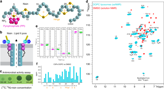 High Resolution Nmr Studies Of Antibiotics In Cellular Membranes Nature Communications