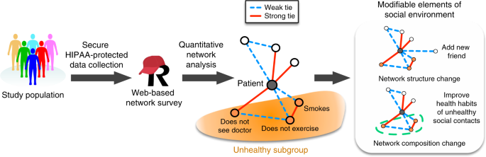A scalable online tool for quantitative social network assessment reveals  potentially modifiable social environmental risks