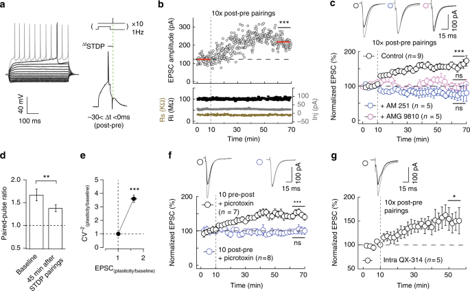 Dopamine–endocannabinoid interactions mediate spike-timing 