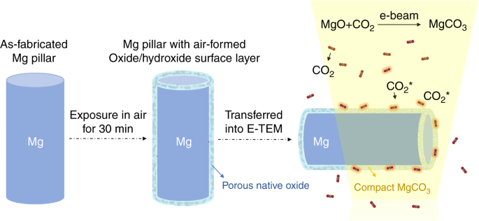 Turning a native or corroded Mg alloy surface into an anti-corrosion coating  in excited CO2 | Nature Communications