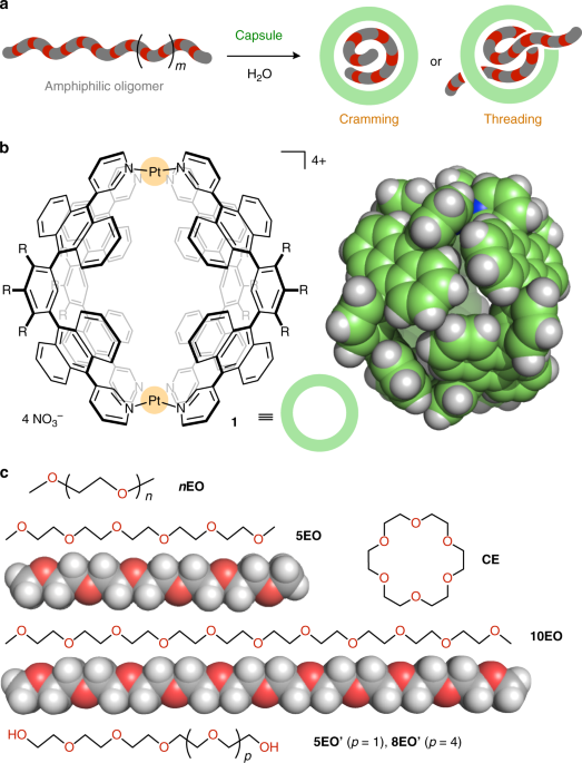 Cramming Versus Threading Of Long Amphiphilic Oligomers Into A Polyaromatic Capsule Nature Communications Cramming Versus Threading Of Long Amphiphilic Oligomers Into A Polyaromatic Capsule Nature Communications