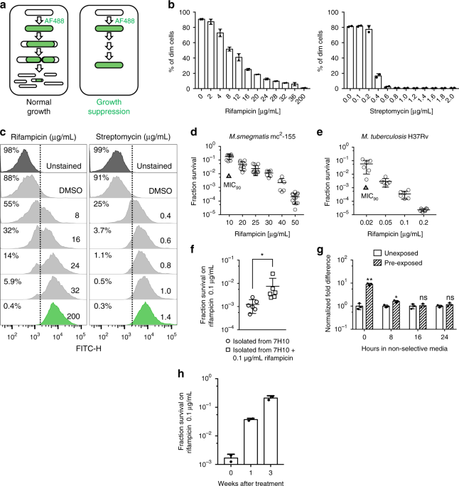 Rifampicin Can Induce Antibiotic Tolerance In Mycobacteria Via Paradoxical Changes In Rpob Transcription Nature Communications