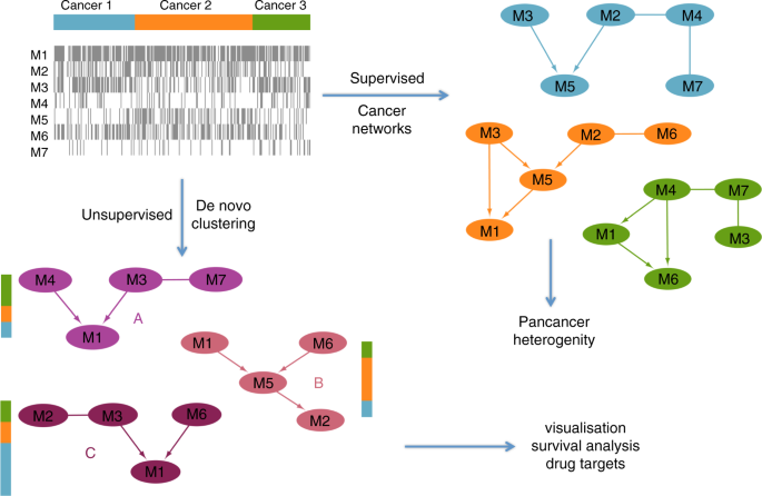 Mutational Interactions Define Novel Cancer Subgroups Nature Communications