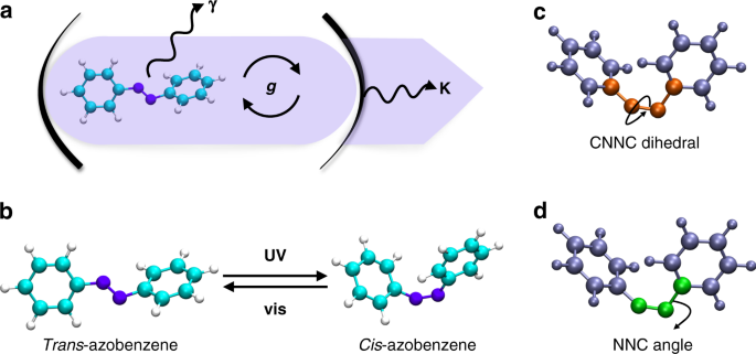 Manipulating azobenzene photoisomerization through strong light–molecule coupling | Nature Communications