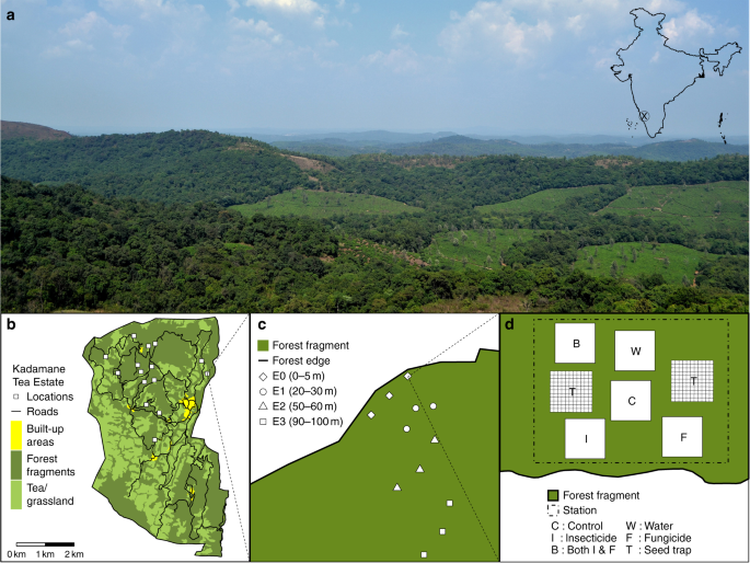 Dispersal limitation and weaker stabilizing mechanisms mediate loss of  diversity with edge effects in forest fragments - Krishnadas - 2021 -  Journal of Ecology - Wiley Online Library