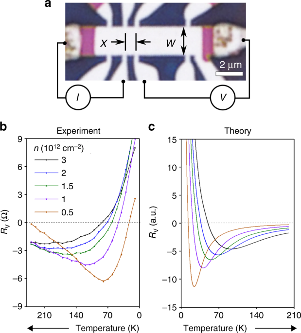Fluidity onset in graphene | Nature Communications
