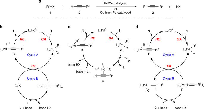 Mechanism of copper-free Sonogashira reaction operates through  palladium-palladium transmetallation | Nature Communications