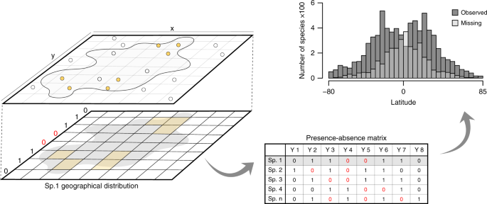 21. What do steeper slopes mean in species richness v/s area graph ?