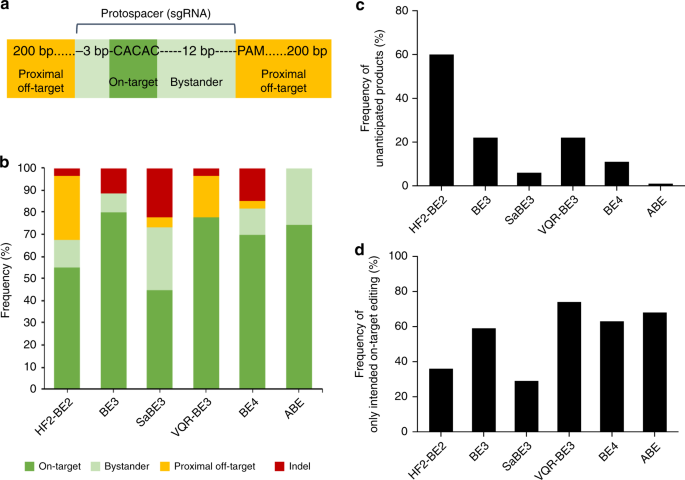targeting fidelity of adenine and cytosine base editors in mouse