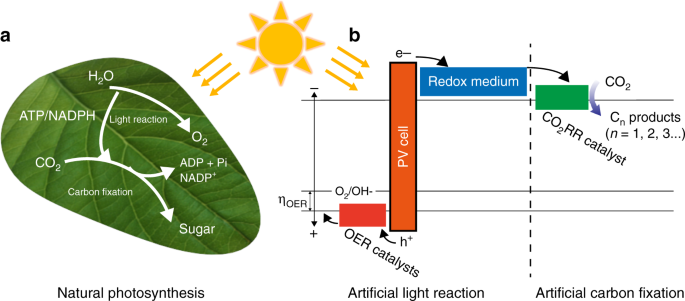 Efficient Solar Driven Electrocatalytic Co 2 Reduction In A Redox Medium Assisted System Nature Communications
