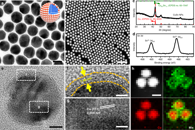 Phase And Structure Engineering Of Copper Tin Heterostructures For Efficient Electrochemical Carbon Dioxide Reduction Nature Communications