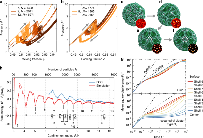 Magic number colloidal clusters as minimum free energy structures ...
