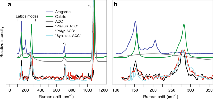 Characterizing coral skeleton mineralogy with Raman spectroscopy | Nature  Communications