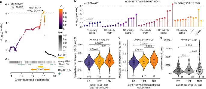 Hypothalamic transcriptomes of 99 mouse strains reveal trans eQTL hotspots,  splicing QTLs and novel non-coding genes