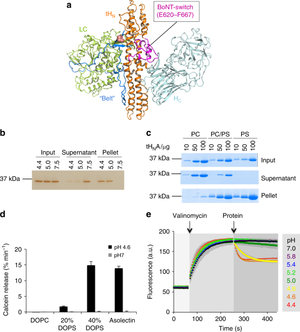 rongsheng jin lab quotation