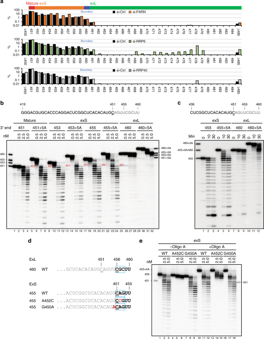 The H Aca Complex Disrupts Triplex In Htr Precursor To Permit Processing By Rrp6 And Parn Nature Communications