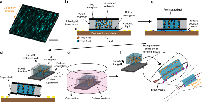 F Gel Round Magnet Bar F Gel Round Magnet Bar
