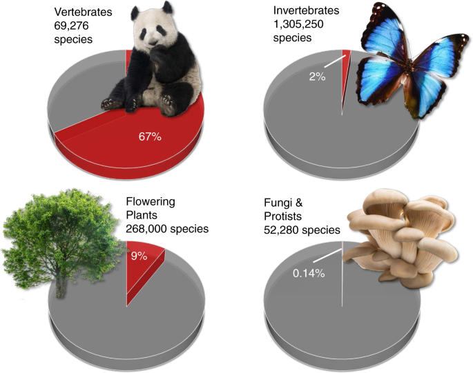 Recognizing the quiet extinction of invertebrates | Nature Communications Recognizing the quiet extinction of invertebrates | Nature Communications