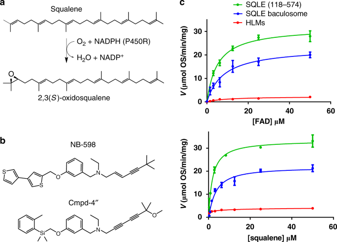 Structure And Inhibition Mechanism Of The Catalytic Domain Of Human Squalene Epoxidase Nature Communications